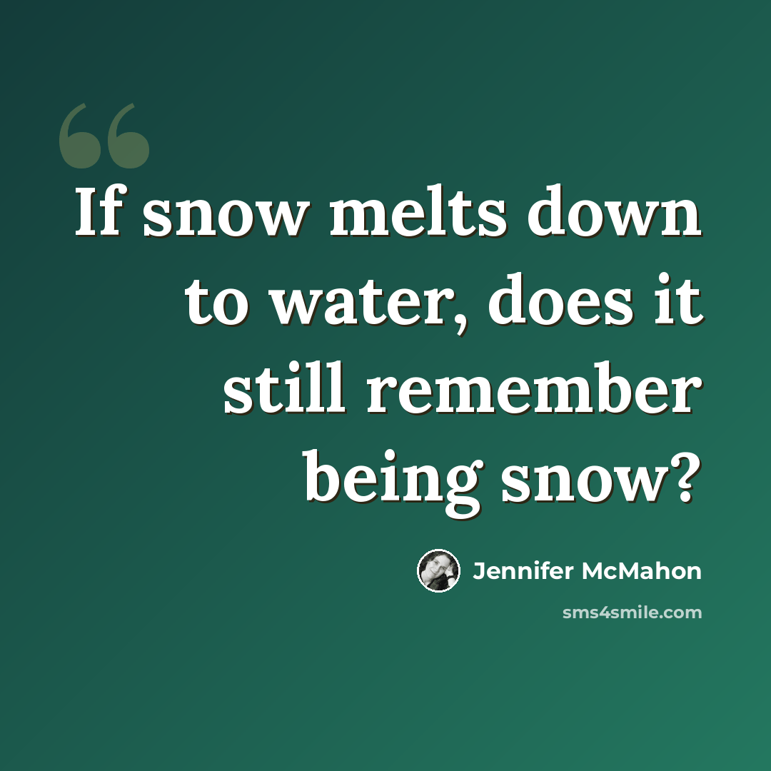 “If snow melts down to water, does it still remember being snow?” quote by Jennifer McMahon