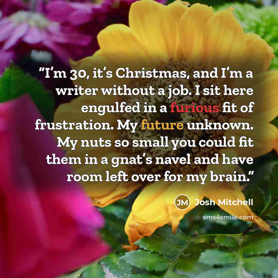 “I’m 30, it’s Christmas, and I’m a writer without a job. I sit here engulfed in a furious fit of frustration. My future unknown. My nuts so small you could fit them in a gnat’s navel and have room left over for my brain.” quote by Josh Mitchell