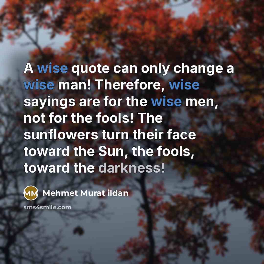 “A wise quote can only change a wise man! Therefore, wise sayings are for the wise men, not for the fools! The sunflowers turn their face toward the Sun, the fools, toward the darkness!” quote by Mehmet Murat Ildan