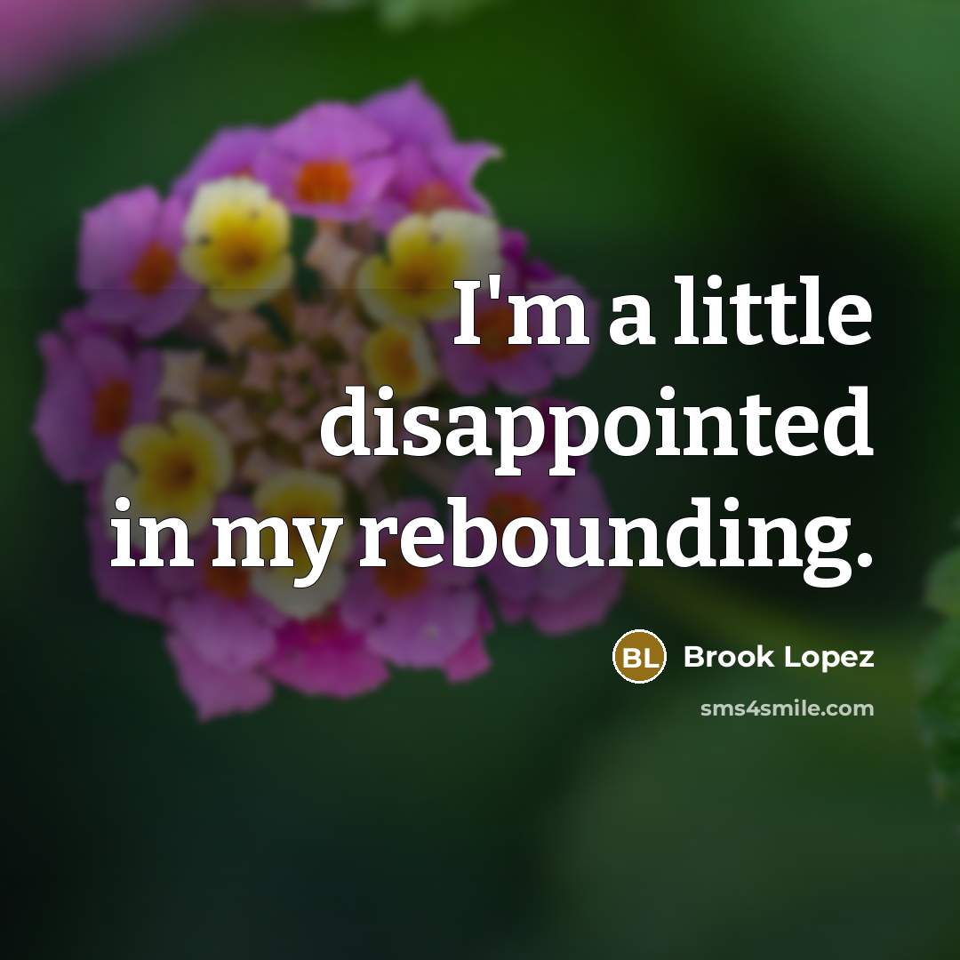 “I'm a little disappointed in my rebounding.” quote by Brook Lopez