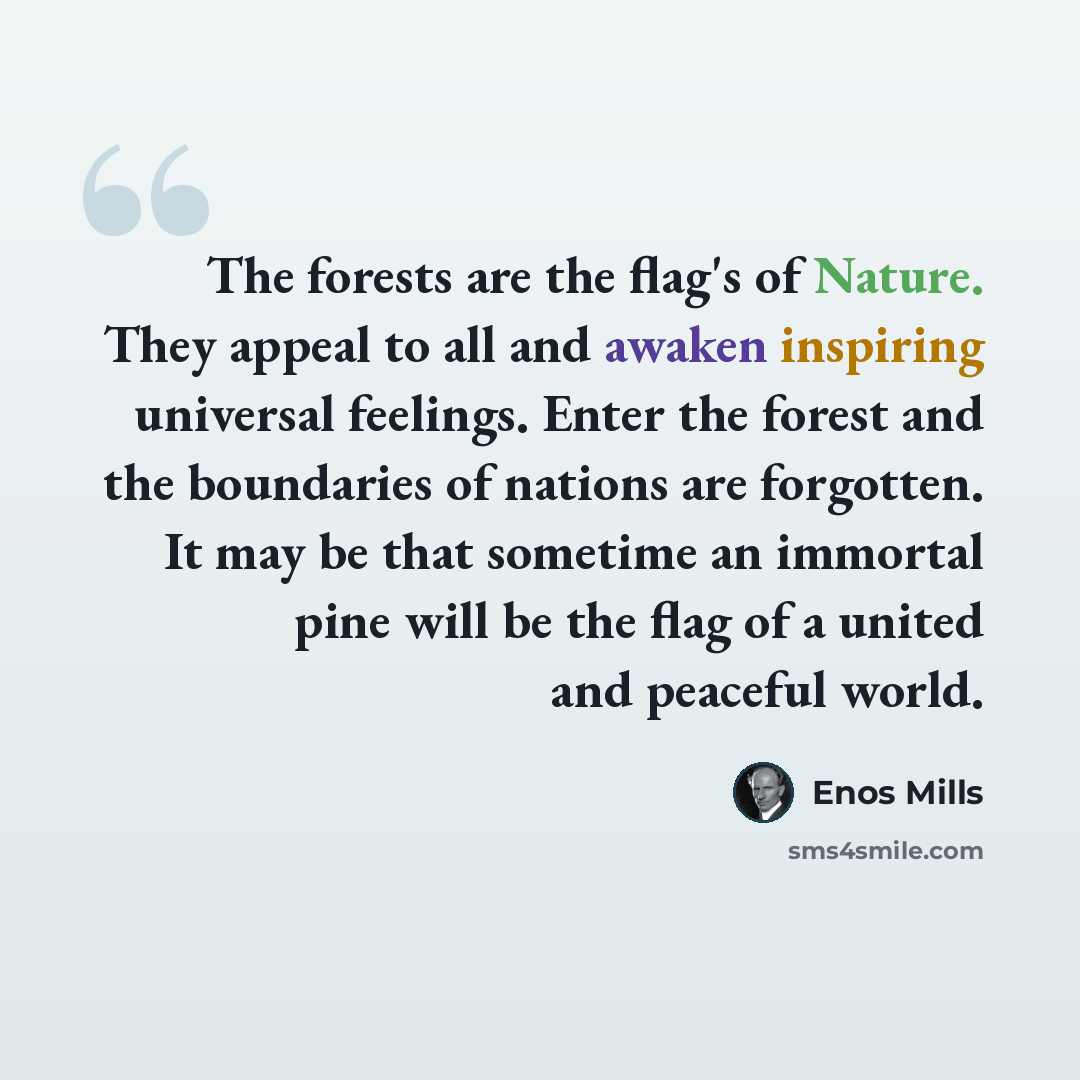 “The forests are the flag's of Nature. They appeal to all and awaken inspiring universal feelings. Enter the forest and the boundaries of nations are forgotten. It may be that sometime an immortal pine will be the flag of a united and peaceful world.” quote by Enos Mills