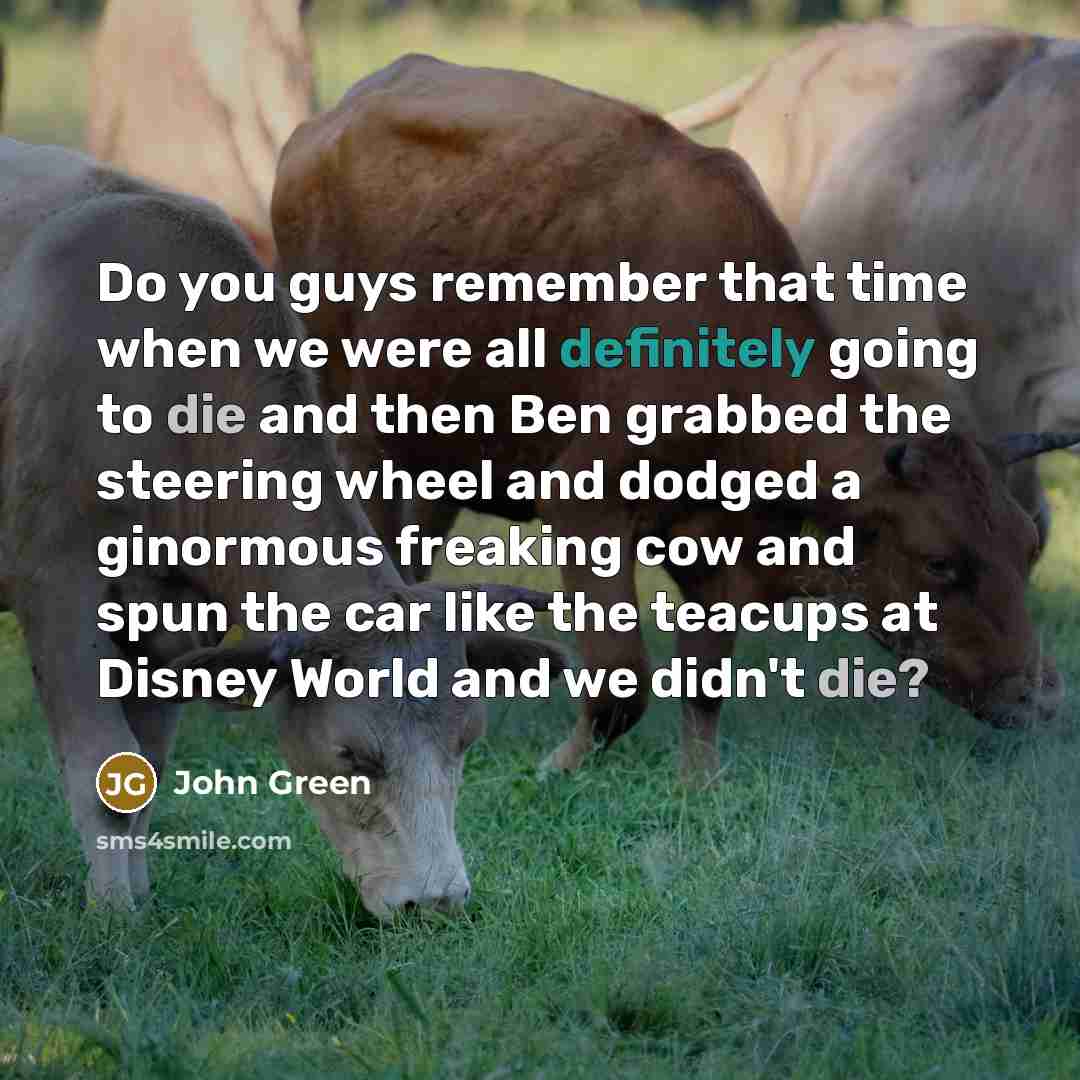 “Do you guys remember that time when we were all definitely going to die and then Ben grabbed the steering wheel and dodged a ginormous freaking cow and spun the car like the teacups at Disney World and we didn't die?” quote by John Green