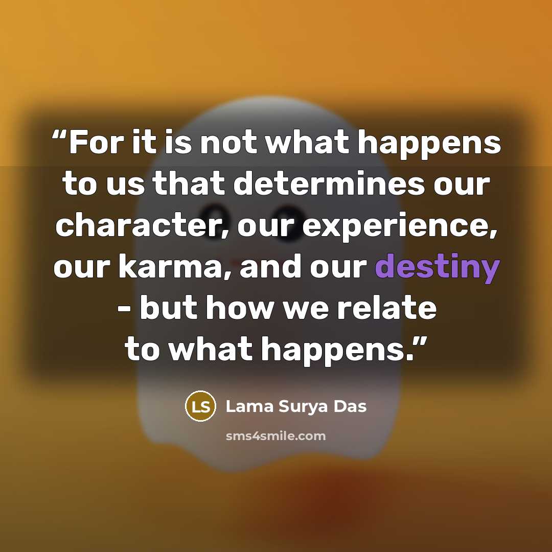 “For it is not what happens to us that determines our character, our experience, our karma, and our destiny - but how we relate to what happens.” quote by Lama Surya Das