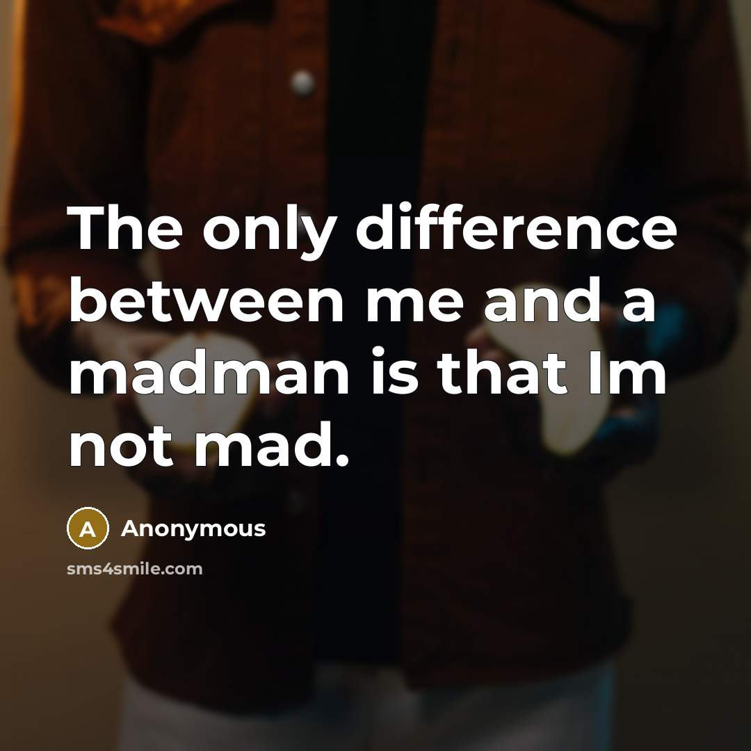 “The only difference between me and a madman is that Im not mad.” quote by Anonymous