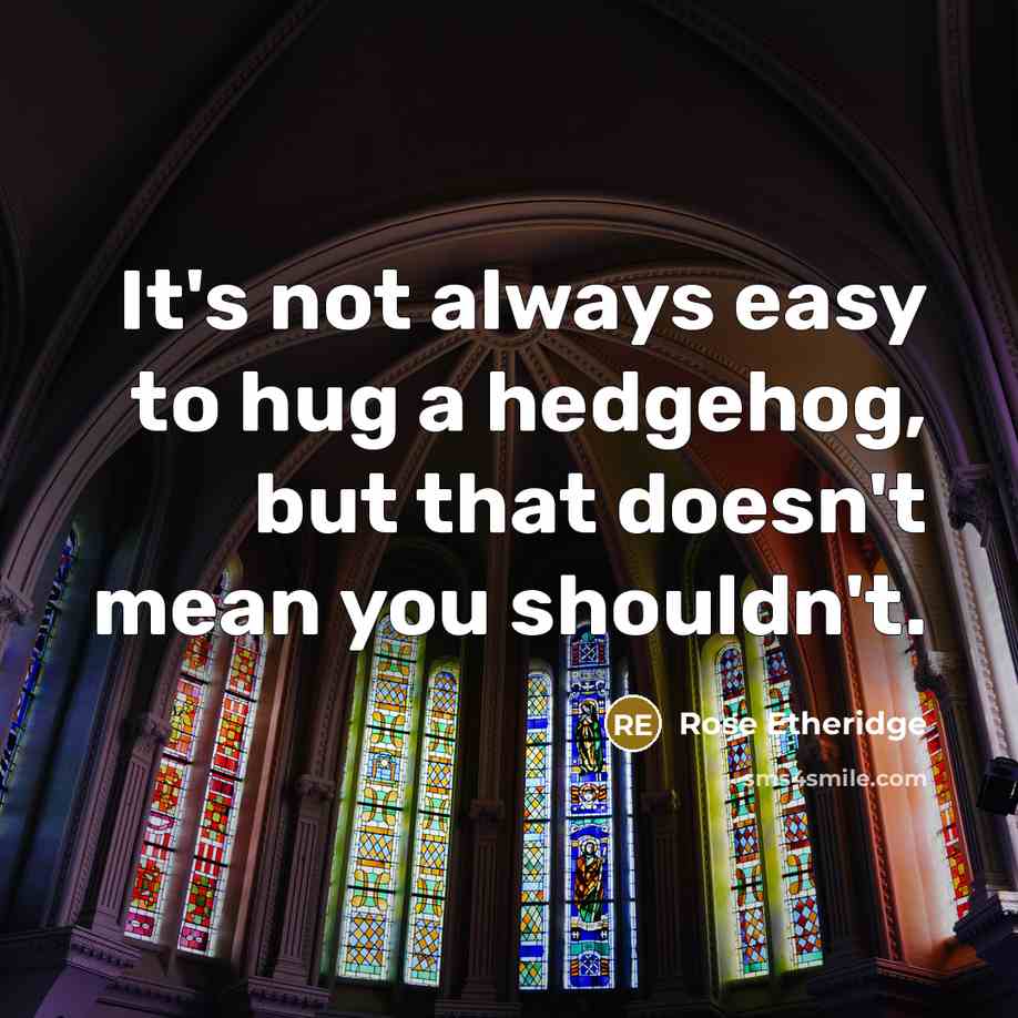 “It's not always easy to hug a hedgehog, but that doesn't mean you shouldn't.” quote by Rose Etheridge