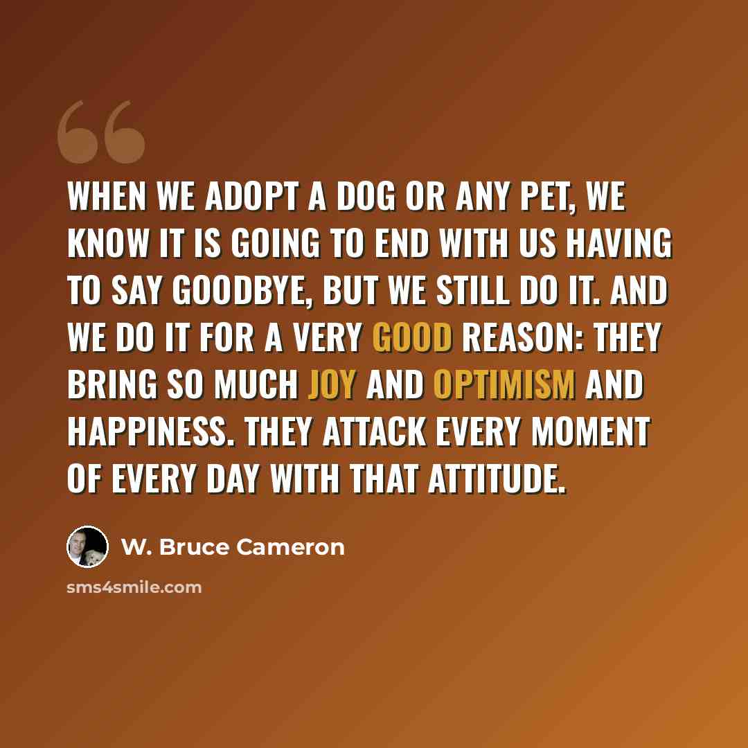 “When we adopt a dog or any pet, we know it is going to end with us having to say goodbye, but we still do it. And we do it for a very good reason: They bring so much joy and optimism and happiness. They attack every moment of every day with that attitude.” quote by W. Bruce Cameron