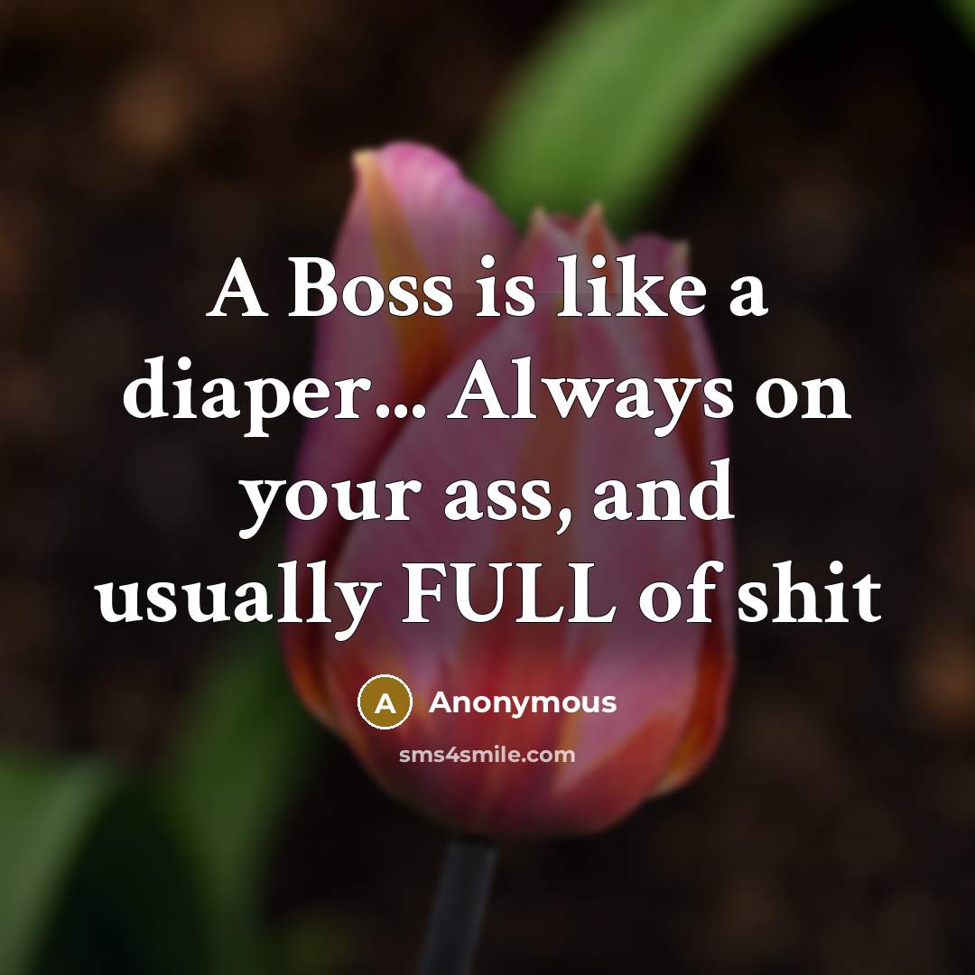 “A Boss is like a diaper... Always on your ass, and usually FULL of shit” quote by Anonymous