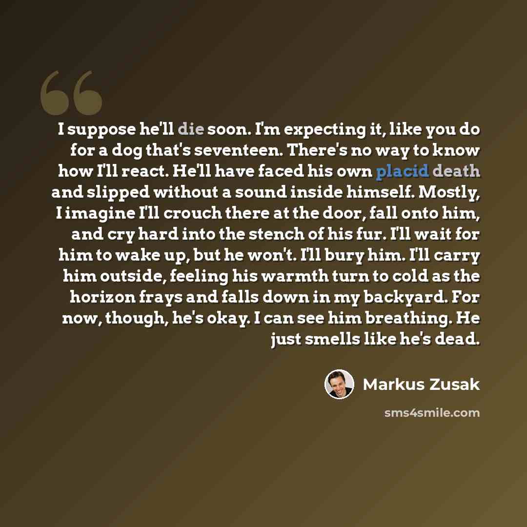 “I suppose he'll die soon. I'm expecting it, like you do for a dog that's seventeen. There's no way to know how I'll react. He'll have faced his own placid death and slipped without a sound inside himself. Mostly, I imagine I'll crouch there at the door, fall onto him, and cry hard into the stench…” quote by Markus Zusak