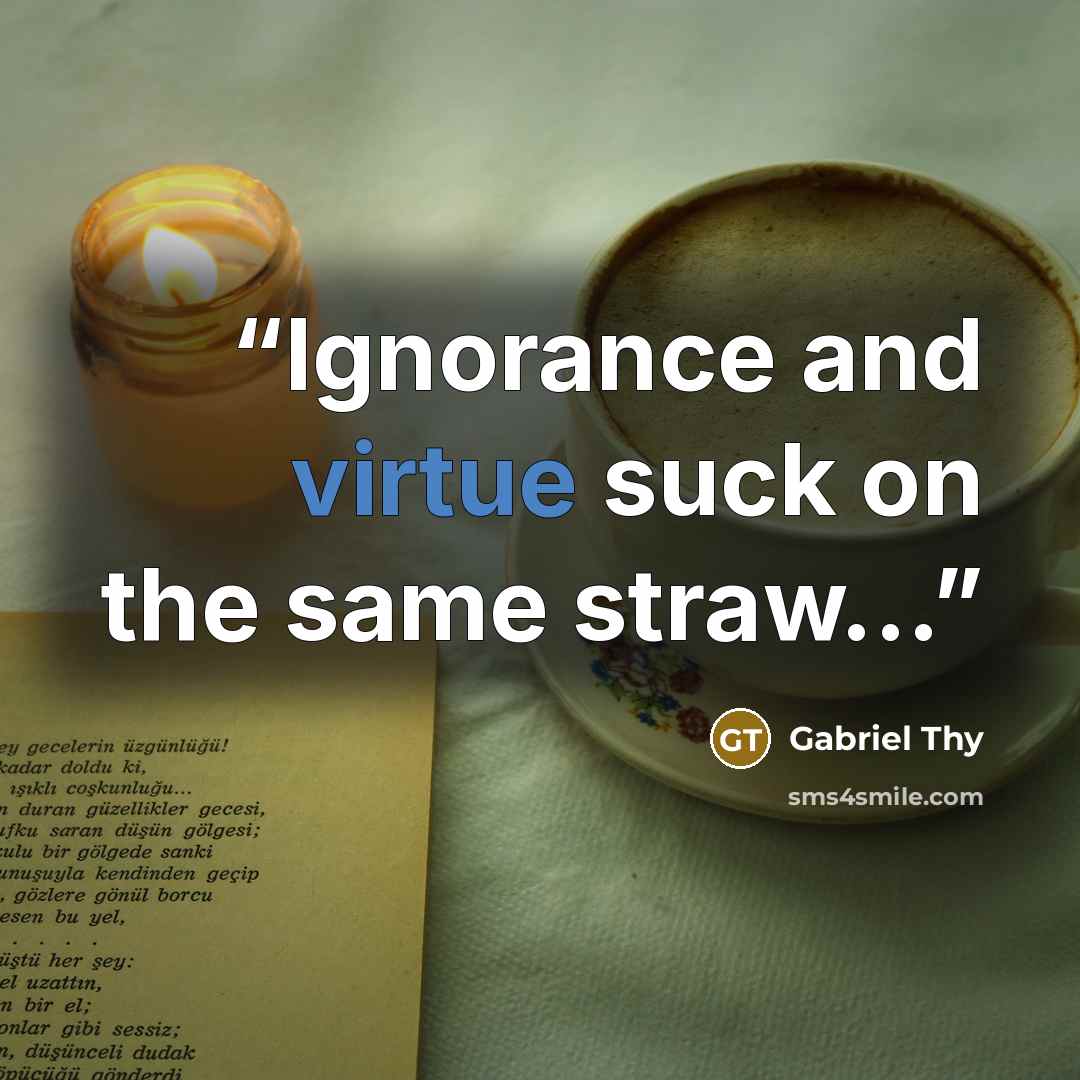 “Ignorance and virtue suck on the same straw...” quote by Gabriel Thy