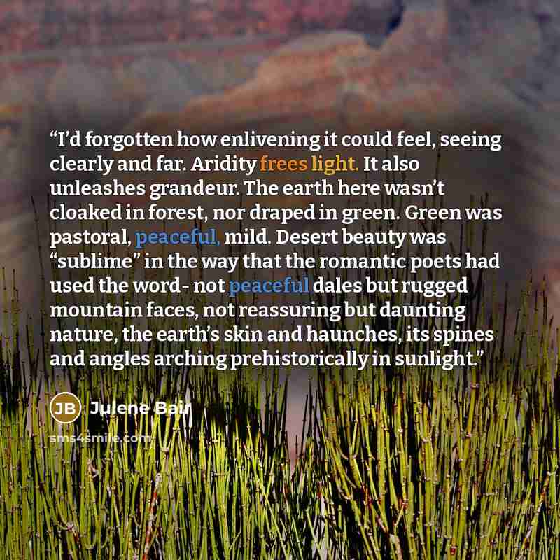 “I’d forgotten how enlivening it could feel, seeing clearly and far. Aridity frees light. It also unleashes grandeur. The earth here wasn’t cloaked in forest, nor draped in green. Green was pastoral, peaceful, mild. Desert beauty was “sublime” in the way that the romantic poets had used the word…” quote by Julene Bair