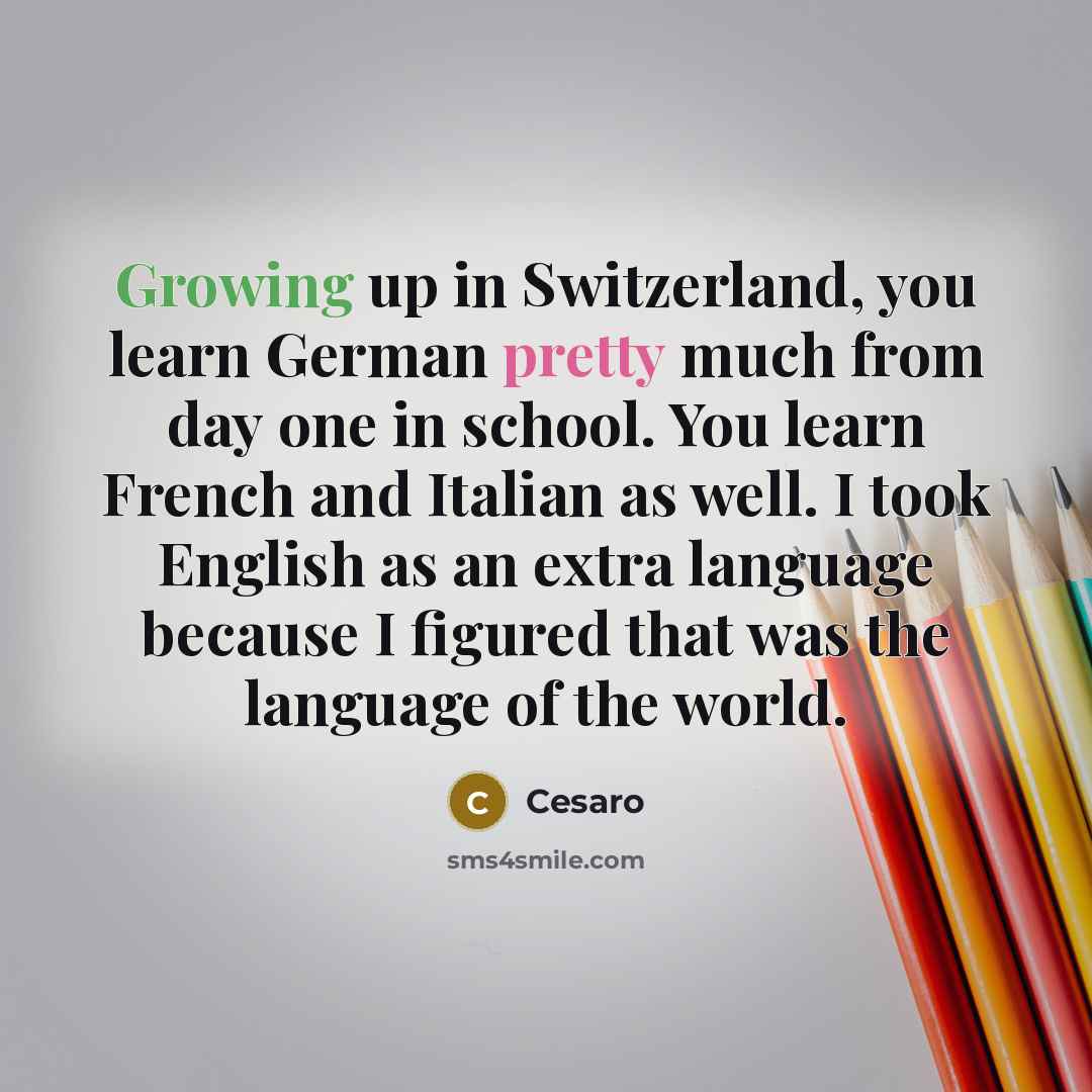 “Growing up in Switzerland, you learn German pretty much from day one in school. You learn French and Italian as well. I took English as an extra language because I figured that was the language of the world.” quote by Cesaro