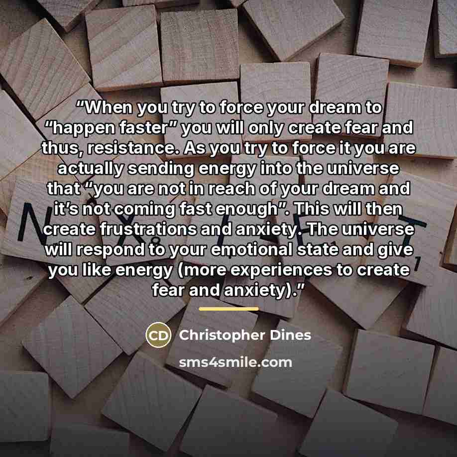 “When you try to force your dream to “happen faster” you will only create fear and thus, resistance. As you try to force it you are actually sending energy into the universe that “you are not in reach of your dream and it’s not coming fast enough”. This will then create frustrations and anxiety…” quote by Christopher Dines