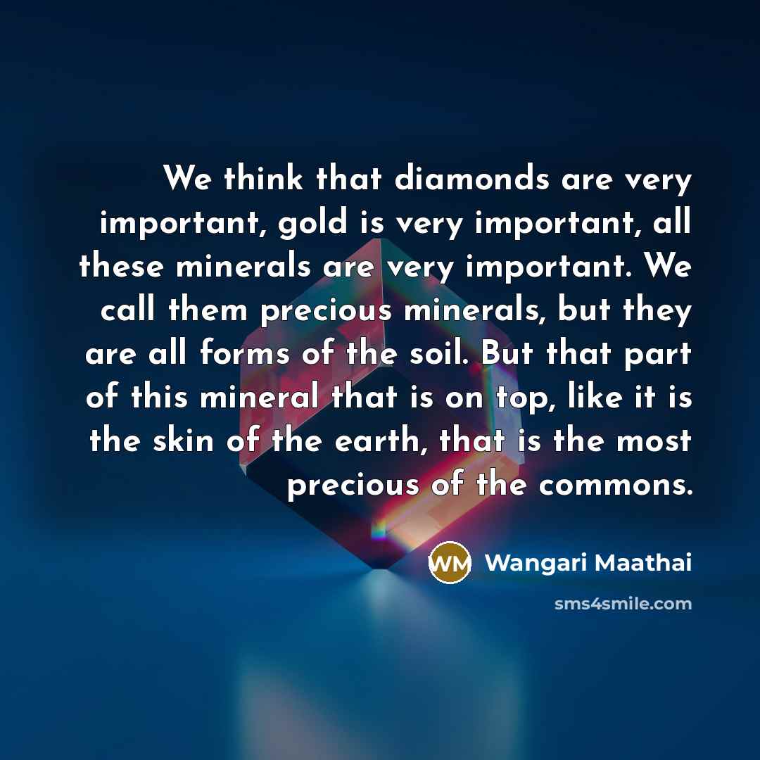 “We think that diamonds are very important, gold is very important, all these minerals are very important. We call them precious minerals, but they are all forms of the soil. But that part of this mineral that is on top, like it is the skin of the earth, that is the most precious of the commons.” quote by Wangari Maathai