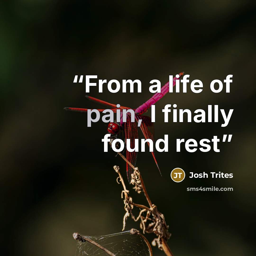 “From a life of pain, I finally found rest” quote by Josh Trites