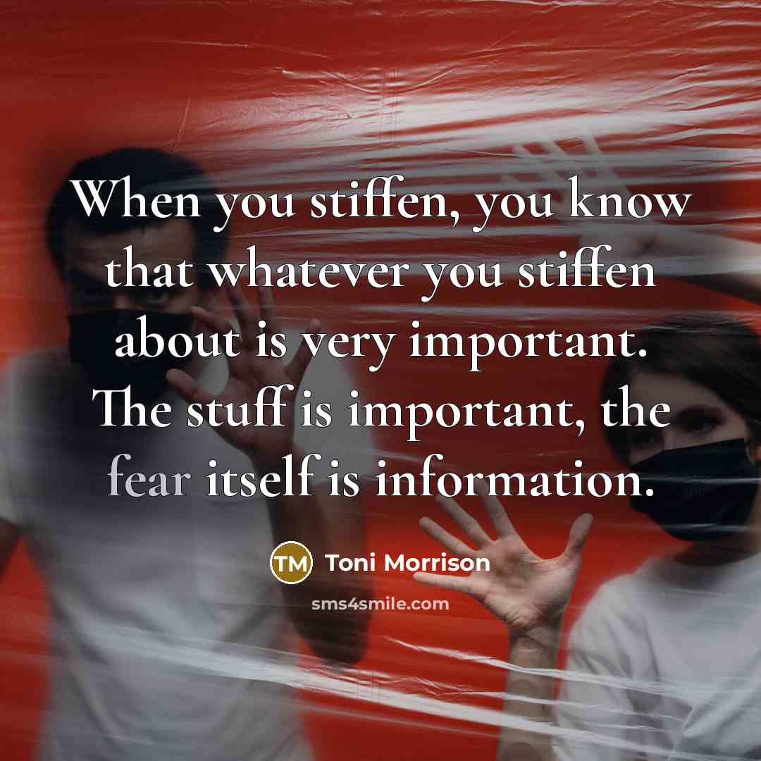 “When you stiffen, you know that whatever you stiffen about is very important. The stuff is important, the fear itself is information.” quote by Toni Morrison