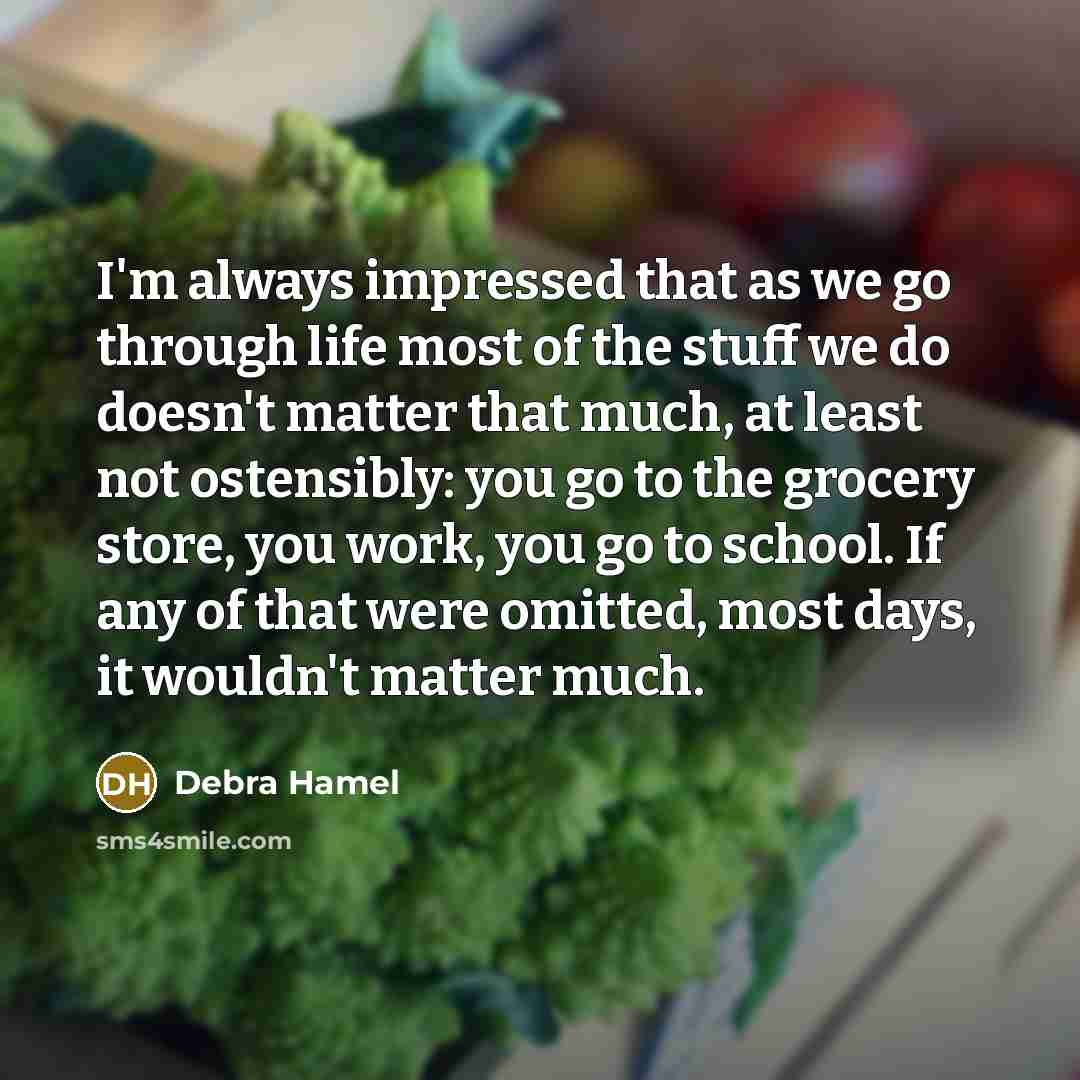 “I'm always impressed that as we go through life most of the stuff we do doesn't matter that much, at least not ostensibly: you go to the grocery store, you work, you go to school. If any of that were omitted, most days, it wouldn't matter much.” quote by Debra Hamel