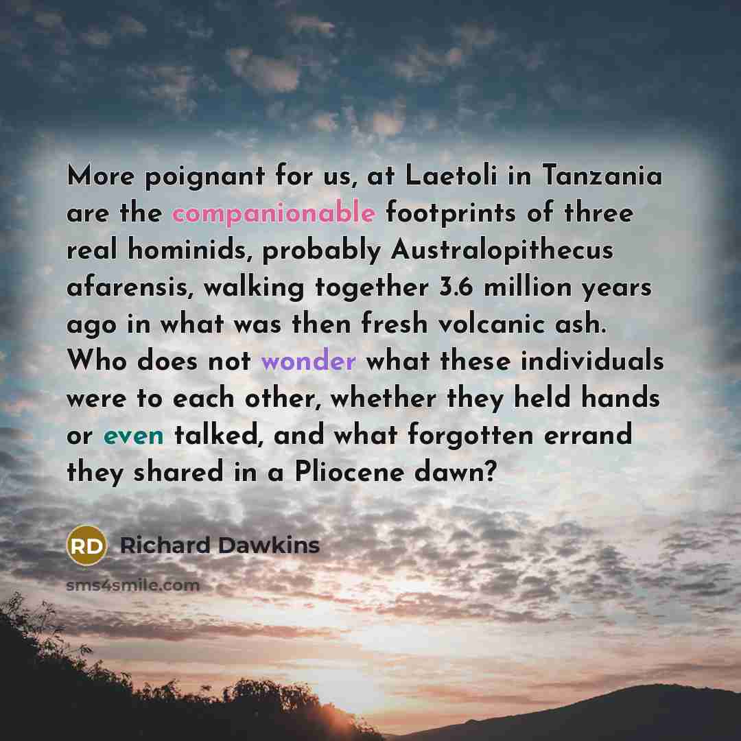 “More poignant for us, at Laetoli in Tanzania are the companionable footprints of three real hominids, probably Australopithecus afarensis, walking together 3.6 million years ago in what was then fresh volcanic ash. Who does not wonder what these individuals were to each other, whether they held…” quote by Richard Dawkins
