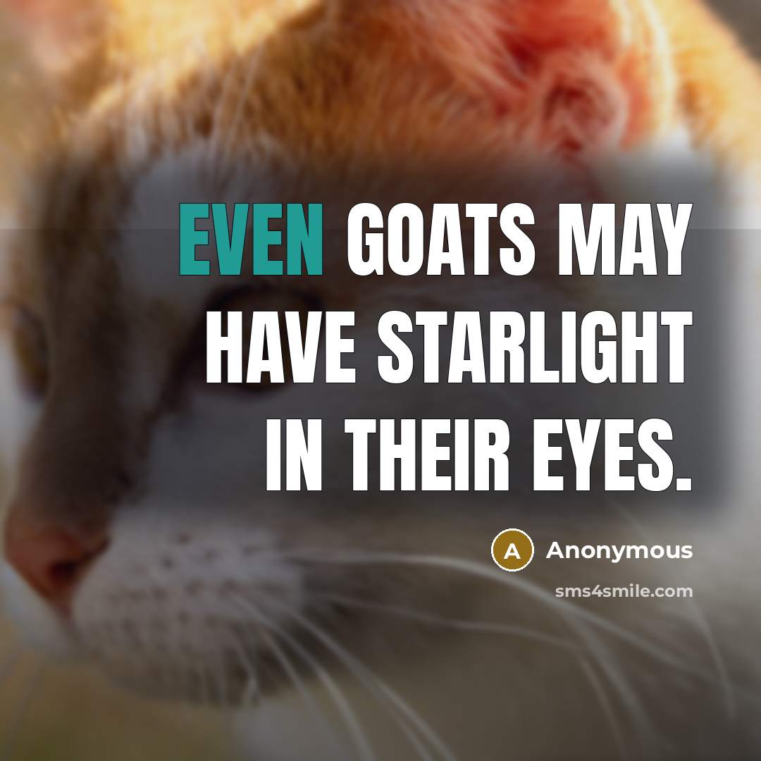 “Even goats may have starlight in their eyes.” quote by Anonymous