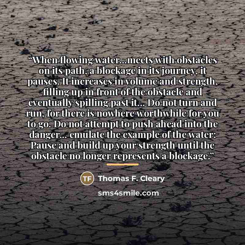 “When flowing water...meets with obstacles on its path, a blockage in its journey, it pauses. It increases in volume and strength, filling up in front of the obstacle and eventually spilling past it... Do not turn and run, for there is nowhere worthwhile for you to go. Do not attempt to push ahead…” quote by Thomas F. Cleary