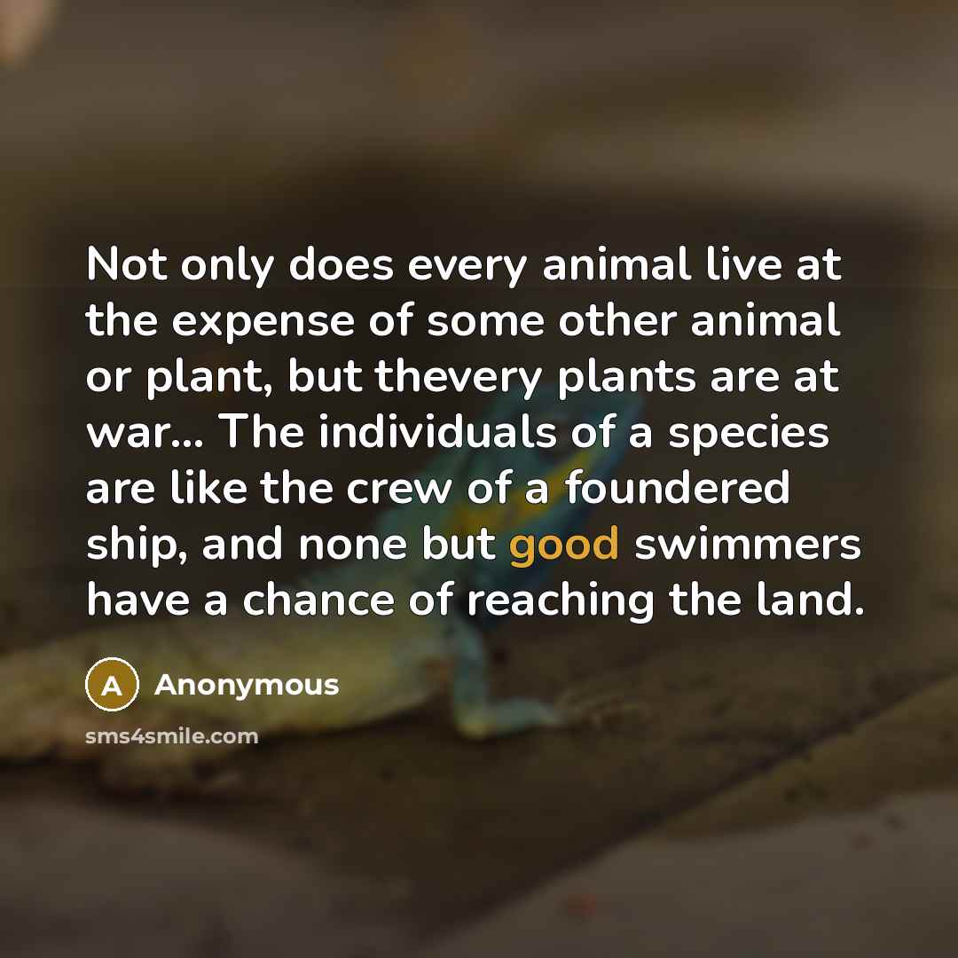“Not only does every animal live at the expense of some other animal or plant, but thevery plants are at war… The individuals of a species are like the crew of a foundered ship, and none but good swimmers have a chance of reaching the land.” quote by Anonymous
