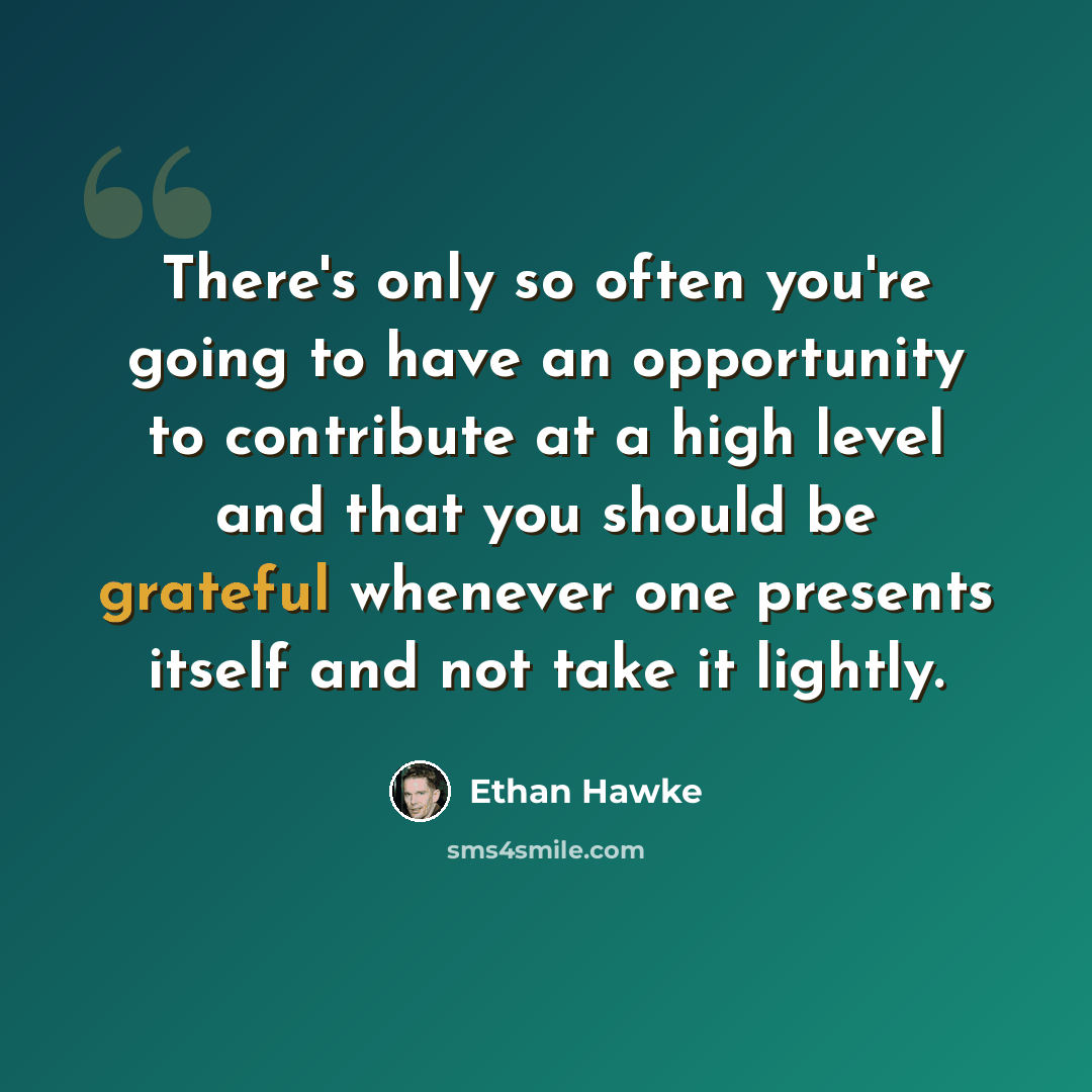 “There's only so often you're going to have an opportunity to contribute at a high level and that you should be grateful whenever one presents itself and not take it lightly.” quote by Ethan Hawke