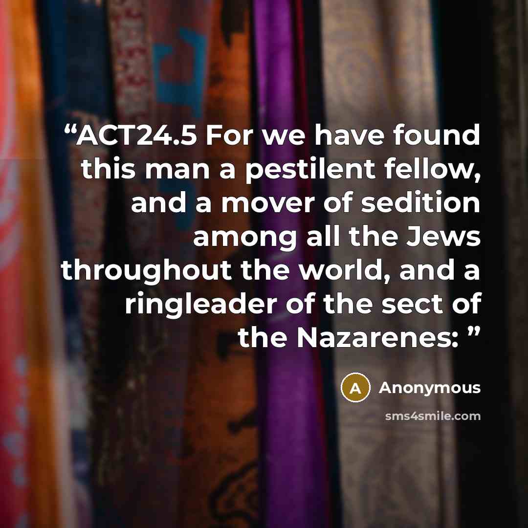“ACT24.5 For we have found this man a pestilent fellow, and a mover of sedition among all the Jews throughout the world, and a ringleader of the sect of the Nazarenes:” quote by Anonymous