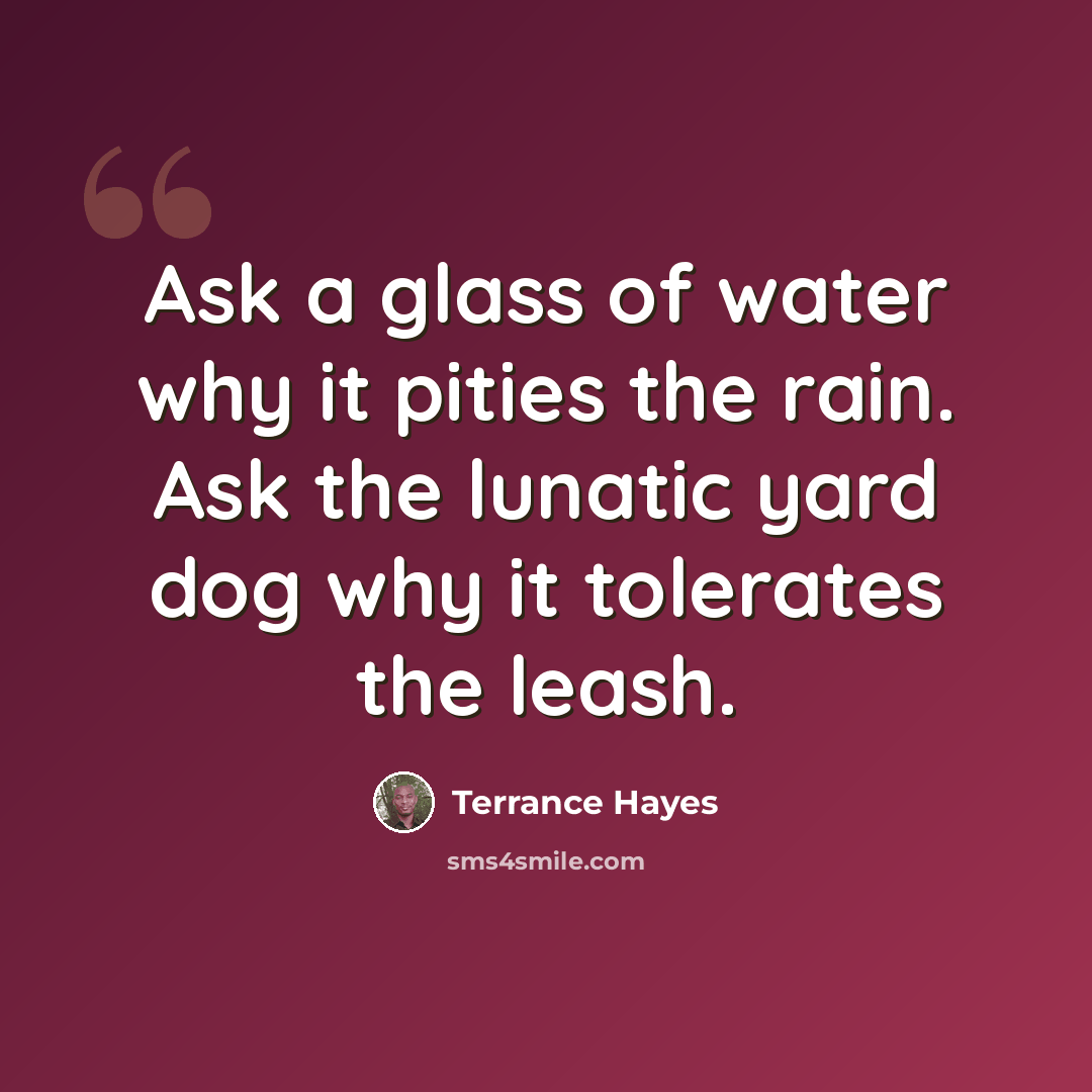 “Ask a glass of water why it pities the rain. Ask the lunatic yard dog why it tolerates the leash.” quote by Terrance Hayes