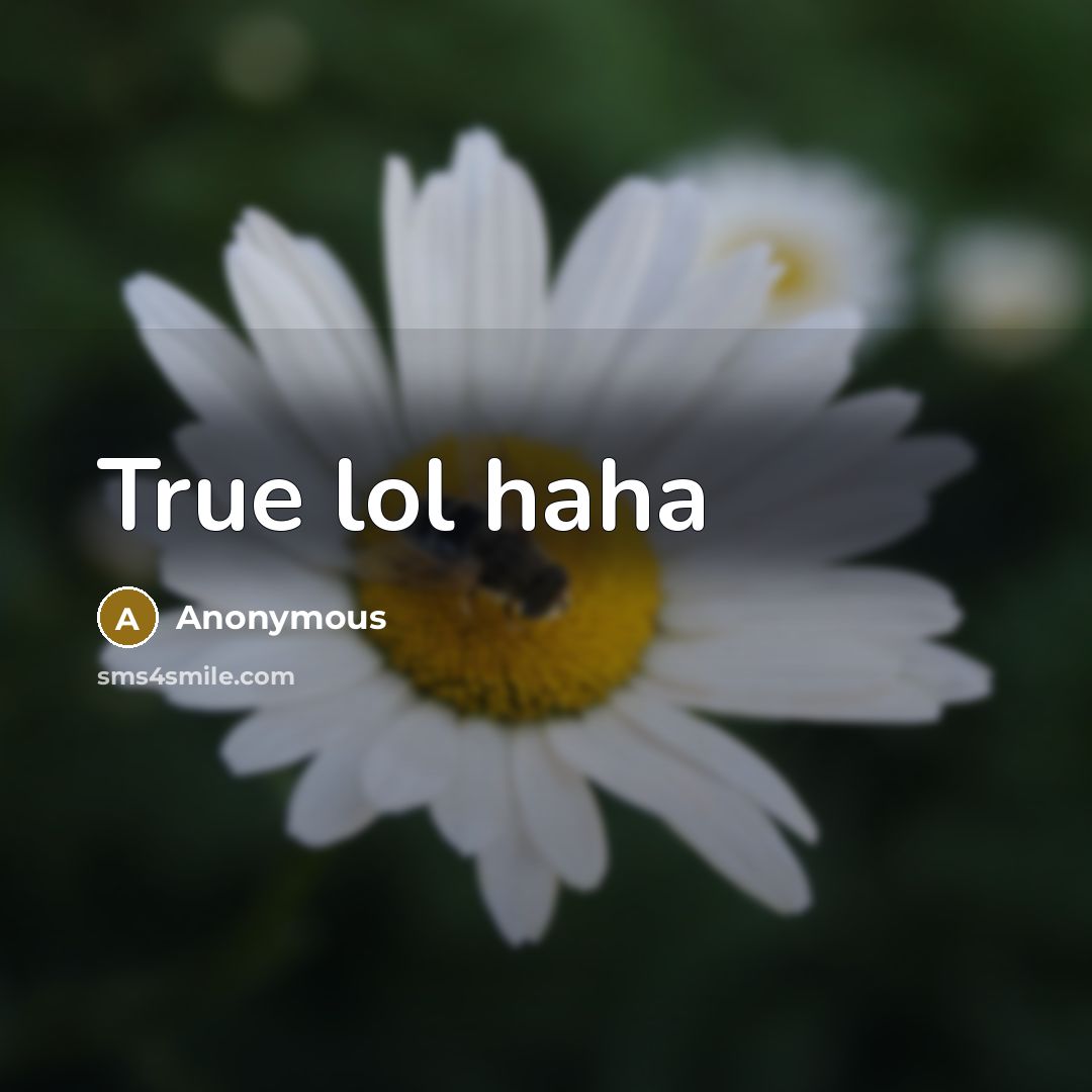 “True lol haha” quote by Anonymous