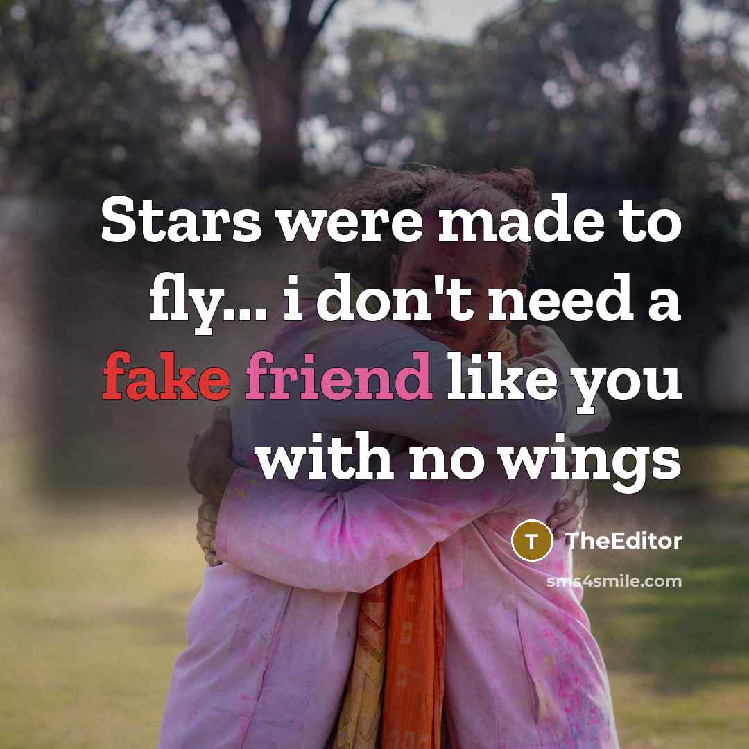 “Stars were made to fly... i don't need a fake friend like you with no wings” quote by TheEditor