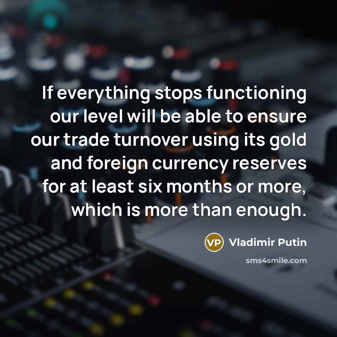 “If everything stops functioning our level will be able to ensure our trade turnover using its gold and foreign currency reserves for at least six months or more, which is more than enough.” quote by Vladimir Putin