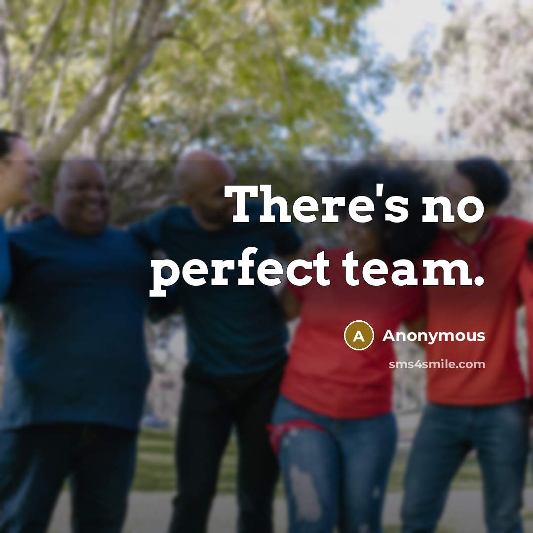 “There's no perfect team.” quote by Anonymous