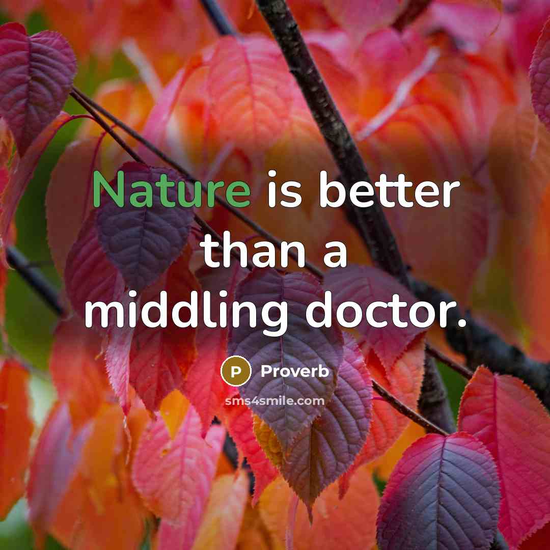 “Nature is better than a middling doctor.” quote by Proverb