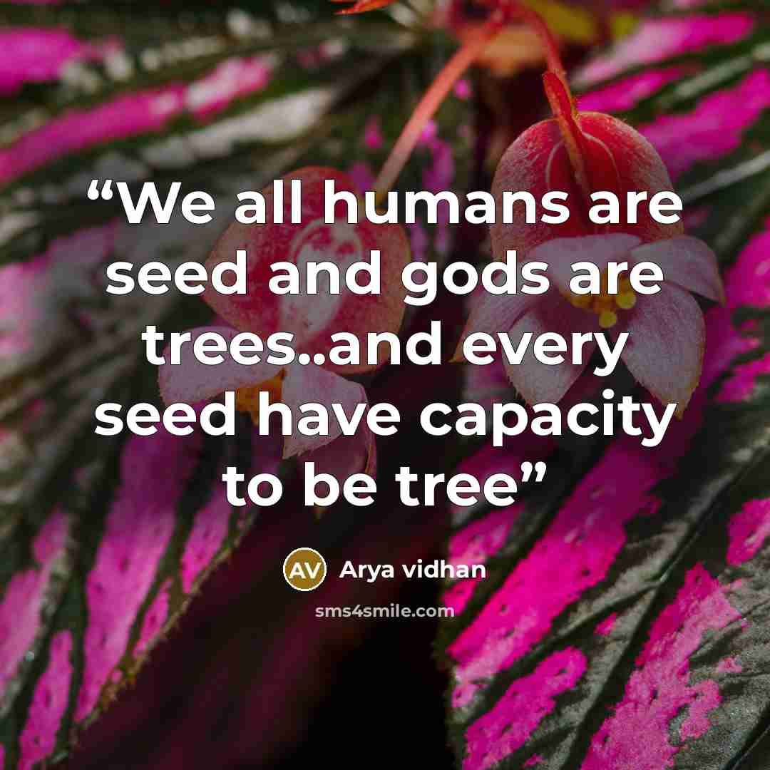 “We all humans are seed and gods are trees..and every seed have capacity to be tree” quote by Arya vidhan
