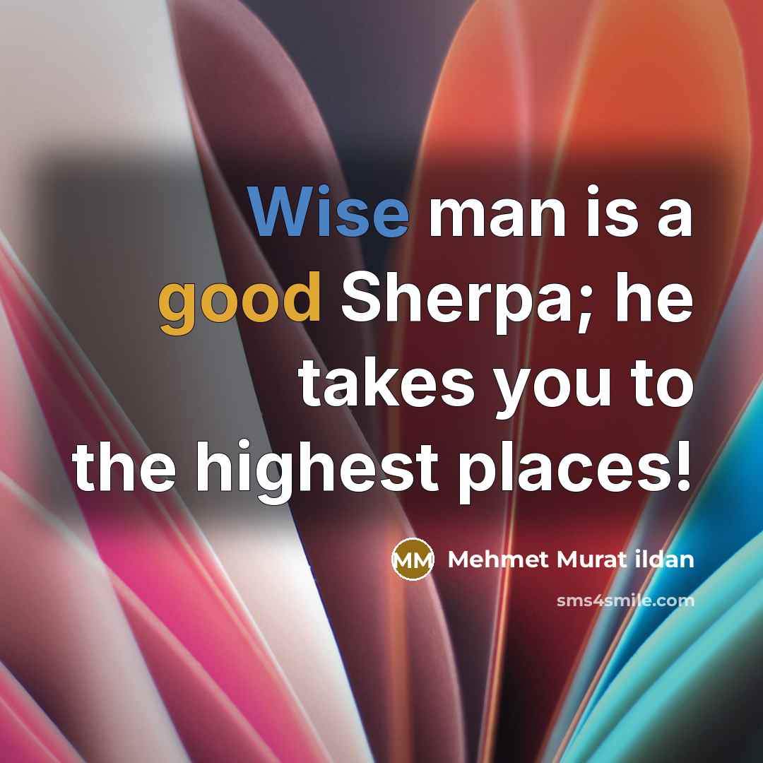 “Wise man is a good Sherpa; he takes you to the highest places!” quote by Mehmet Murat Ildan