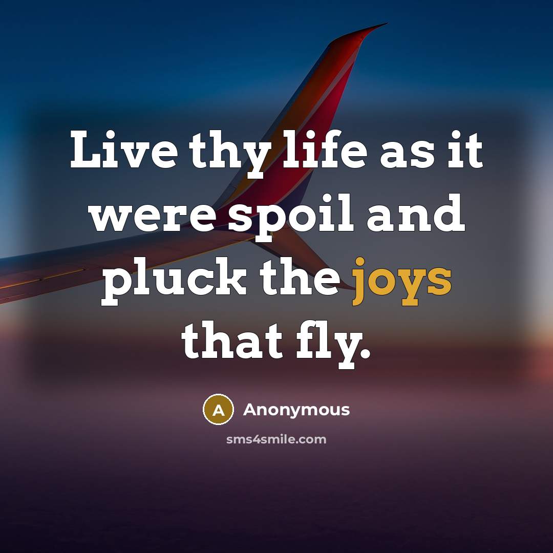 “Live thy life as it were spoil and pluck the joys that fly.” quote by Anonymous