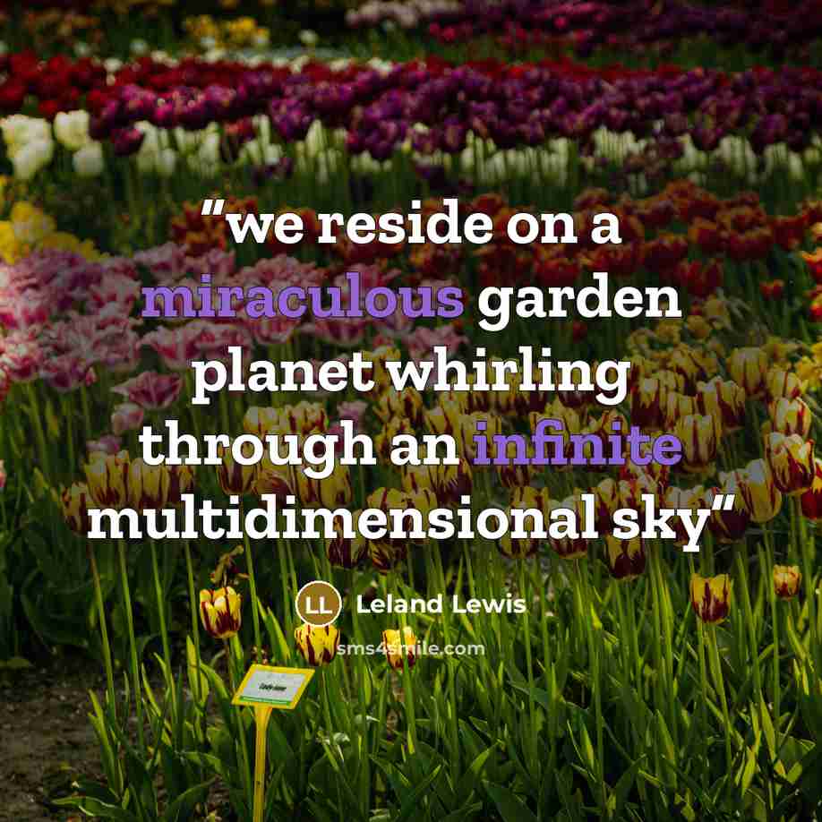 “we reside on a miraculous garden planet whirling through an infinite multidimensional sky” quote by Leland Lewis