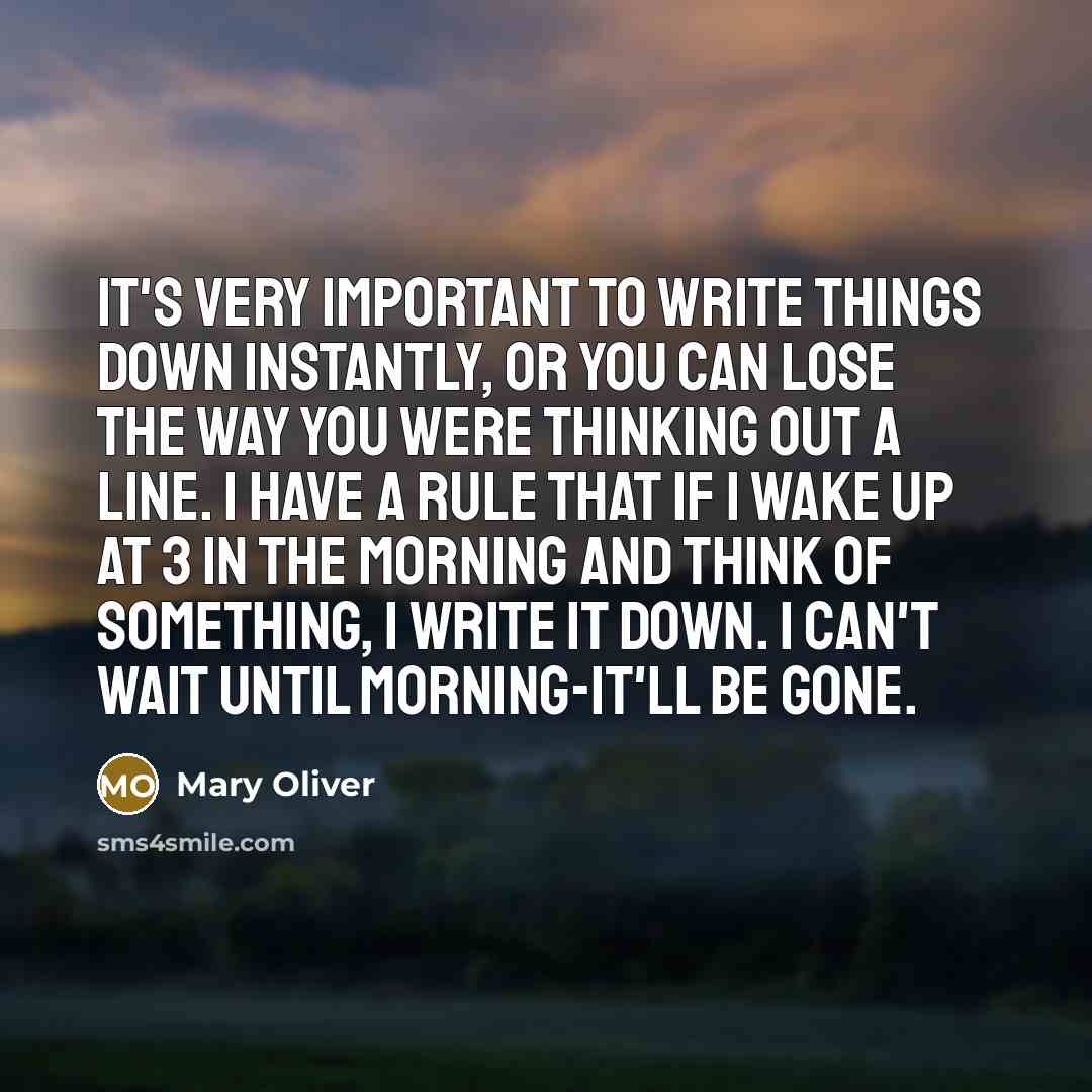 “It's very important to write things down instantly, or you can lose the way you were thinking out a line. I have a rule that if I wake up at 3 in the morning and think of something, I write it down. I can't wait until morning-it'll be gone.” quote by Mary Oliver