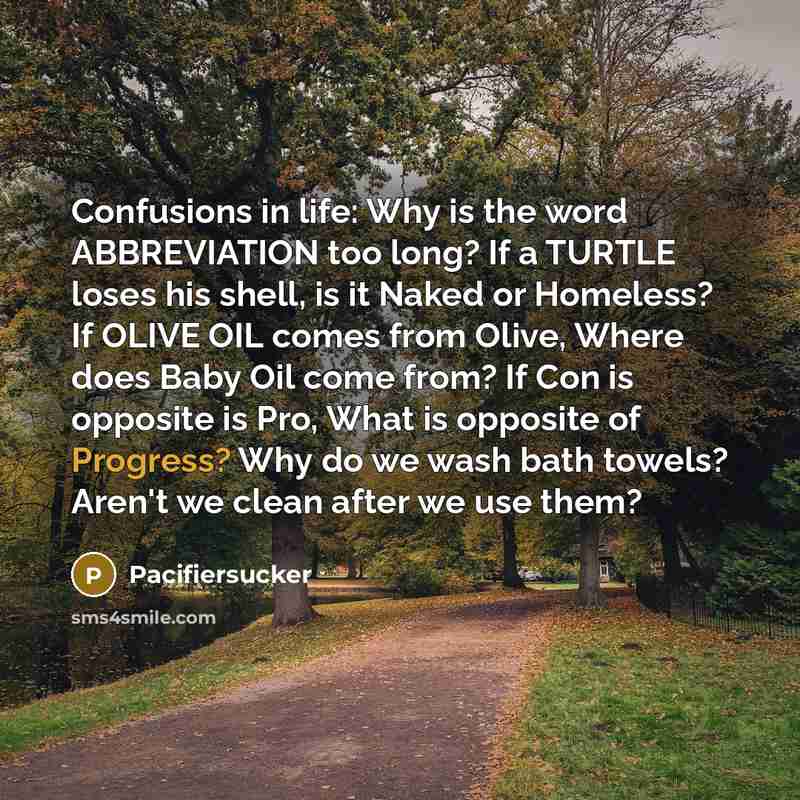 “Confusions in life: Why is the word ABBREVIATION too long? If a TURTLE loses his shell, is it Naked or Homeless? If OLIVE OIL comes from Olive, Where does Baby Oil come from? If Con is opposite is Pro, What is opposite of Progress? Why do we wash bath towels? Aren't we clean after we use them?” quote by Pacifiersucker