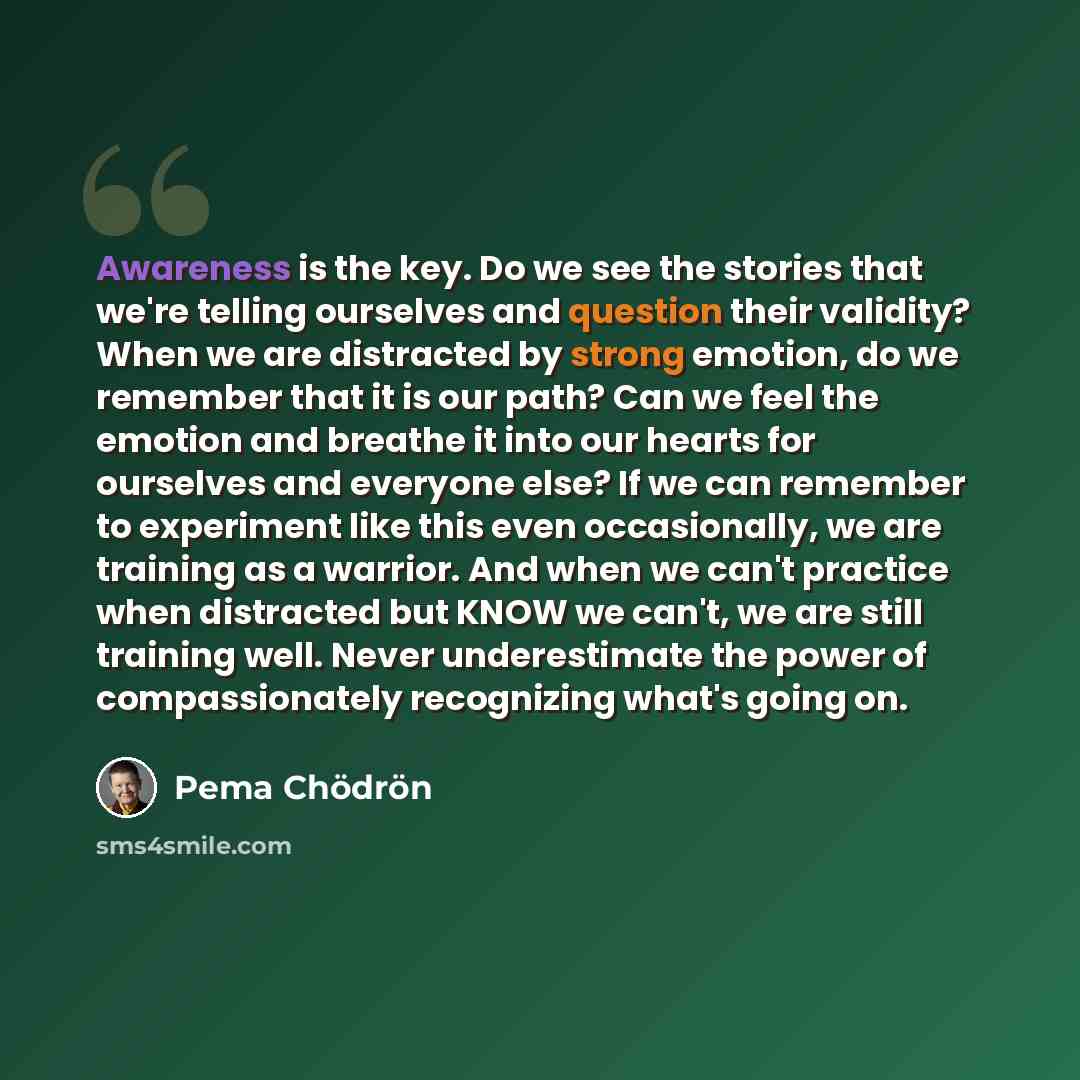 “Awareness is the key. Do we see the stories that we're telling ourselves and question their validity? When we are distracted by strong emotion, do we remember that it is our path? Can we feel the emotion and breathe it into our hearts for ourselves and everyone else? If we can remember to…” quote by Pema Chodron