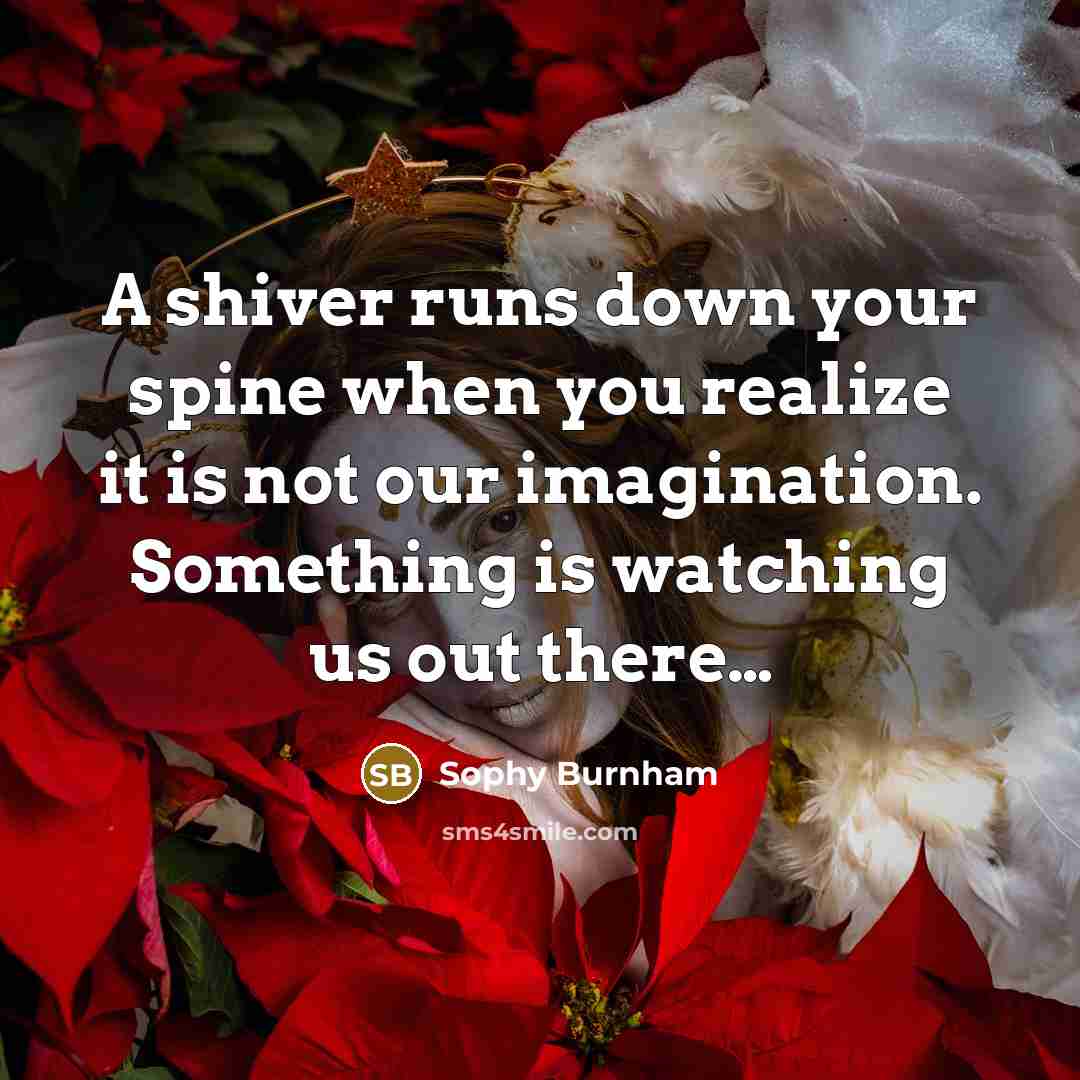 “A shiver runs down your spine when you realize it is not our imagination. Something is watching us out there…” quote by Sophy Burnham