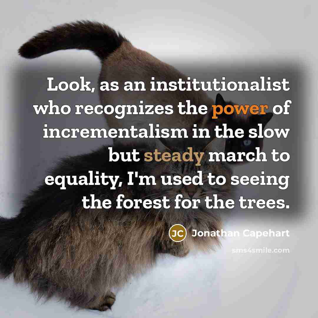“Look, as an institutionalist who recognizes the power of incrementalism in the slow but steady march to equality, I'm used to seeing the forest for the trees.” quote by Jonathan Capehart