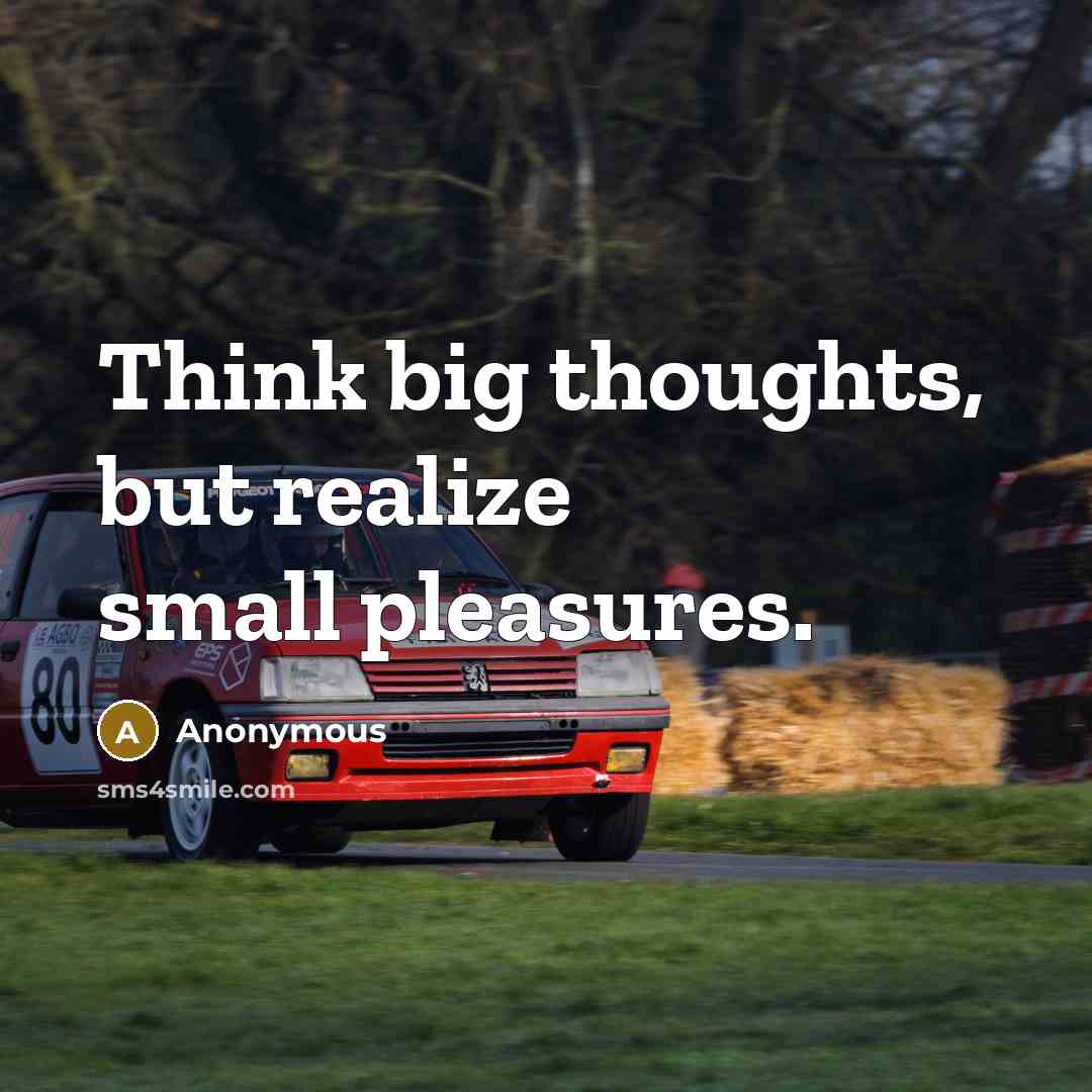 “Think big thoughts, but realize small pleasures.” quote by Anonymous
