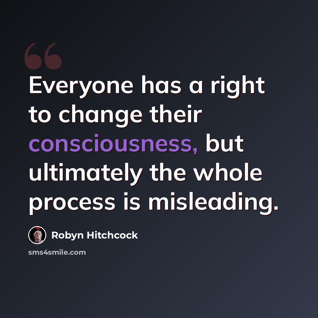 “Everyone has a right to change their consciousness, but ultimately the whole process is misleading.” quote by Robyn Hitchcock