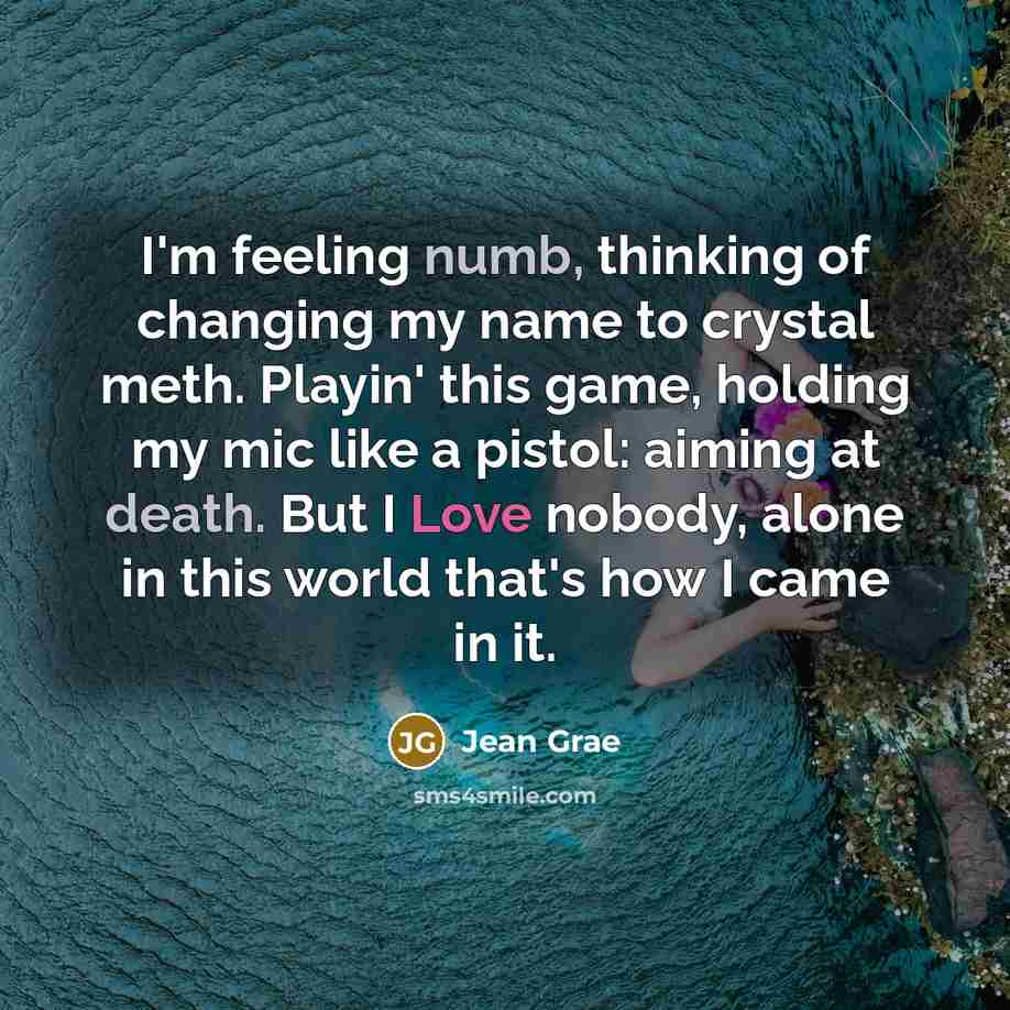 “I'm feeling numb, thinking of changing my name to crystal meth. Playin' this game, holding my mic like a pistol: aiming at death. But I Love nobody, alone in this world that's how I came in it.” quote by Jean Grae