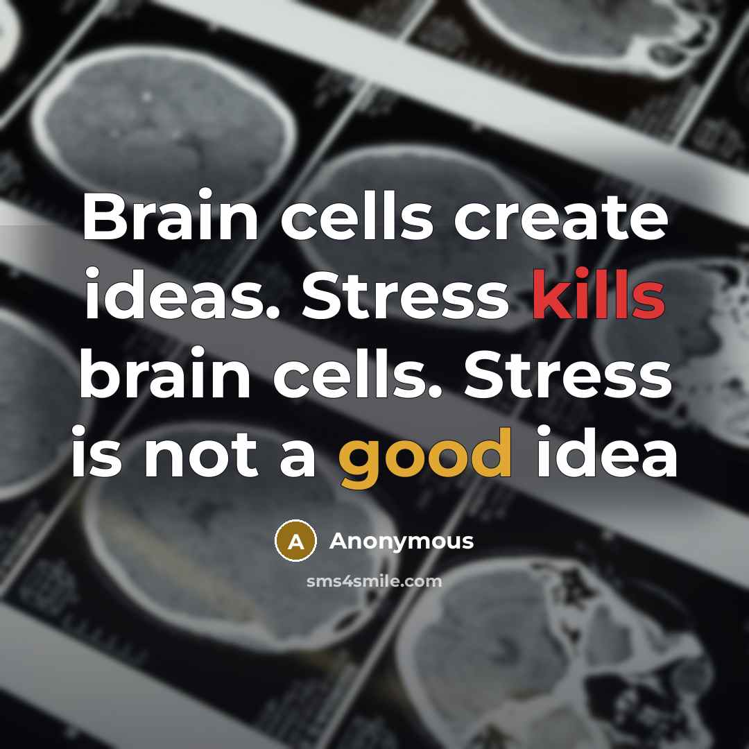 “Brain cells create ideas. Stress kills brain cells. Stress is not a good idea” quote by Anonymous