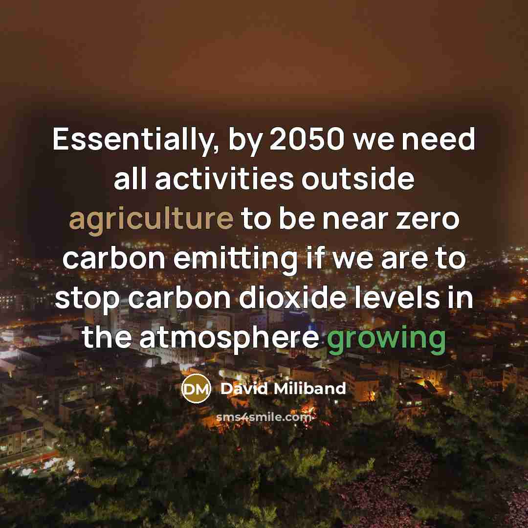 “Essentially, by 2050 we need all activities outside agriculture to be near zero carbon emitting if we are to stop carbon dioxide levels in the atmosphere growing” quote by David Miliband