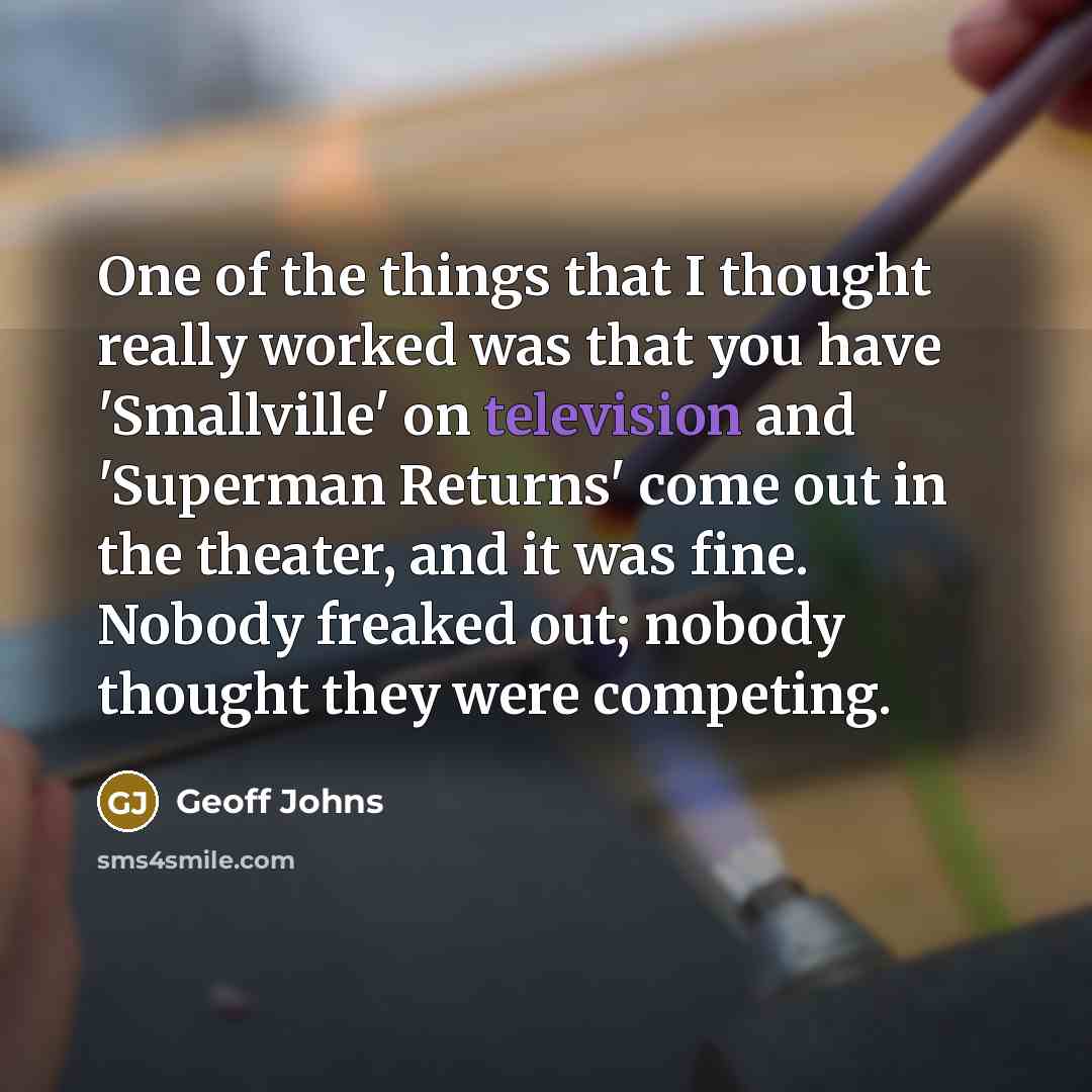 “One of the things that I thought really worked was that you have 'Smallville' on television and 'Superman Returns' come out in the theater, and it was fine. Nobody freaked out; nobody thought they were competing.” quote by Geoff Johns