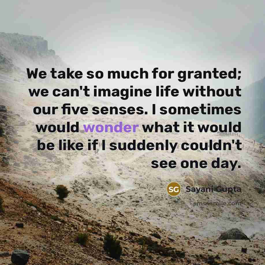 “We take so much for granted; we can't imagine life without our five senses. I sometimes would wonder what it would be like if I suddenly couldn't see one day.” quote by Sayani Gupta