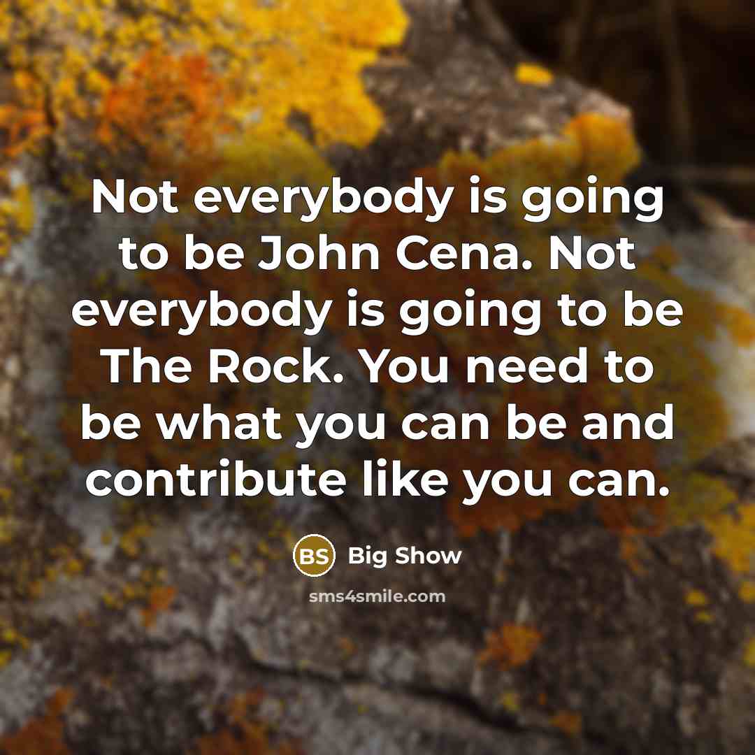 “Not everybody is going to be John Cena. Not everybody is going to be The Rock. You need to be what you can be and contribute like you can.” quote by Big Show