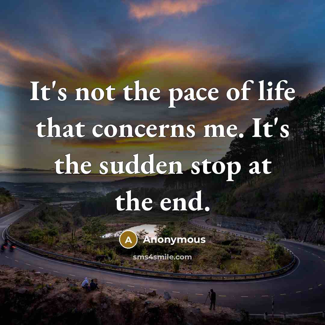 “It's not the pace of life that concerns me. It's the sudden stop at the end.” quote by Anonymous
